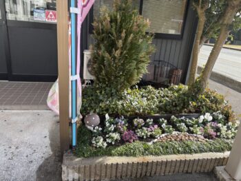 事務所前の花壇